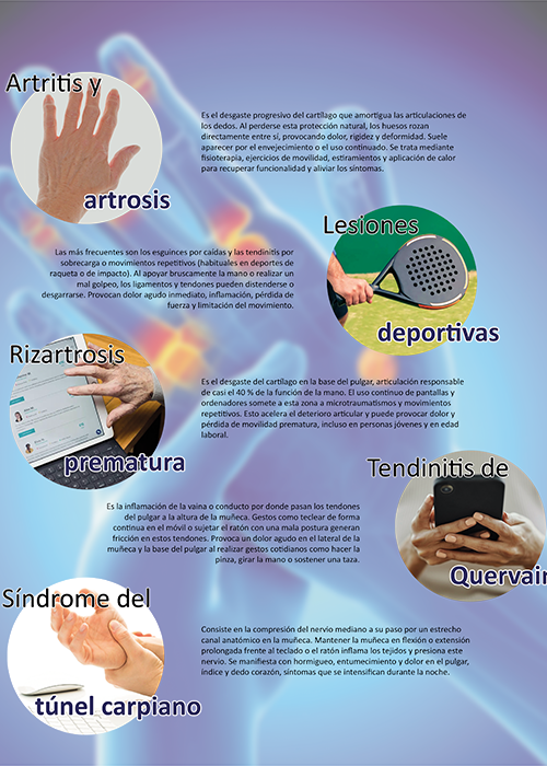 para foto galeria MORADA EXPA
